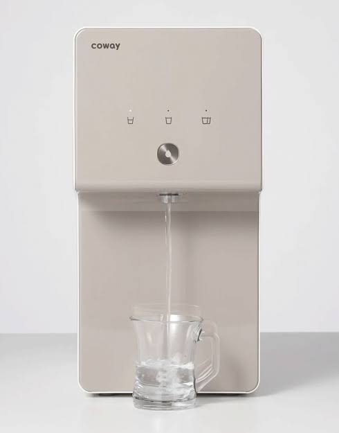 Cinnamon Model